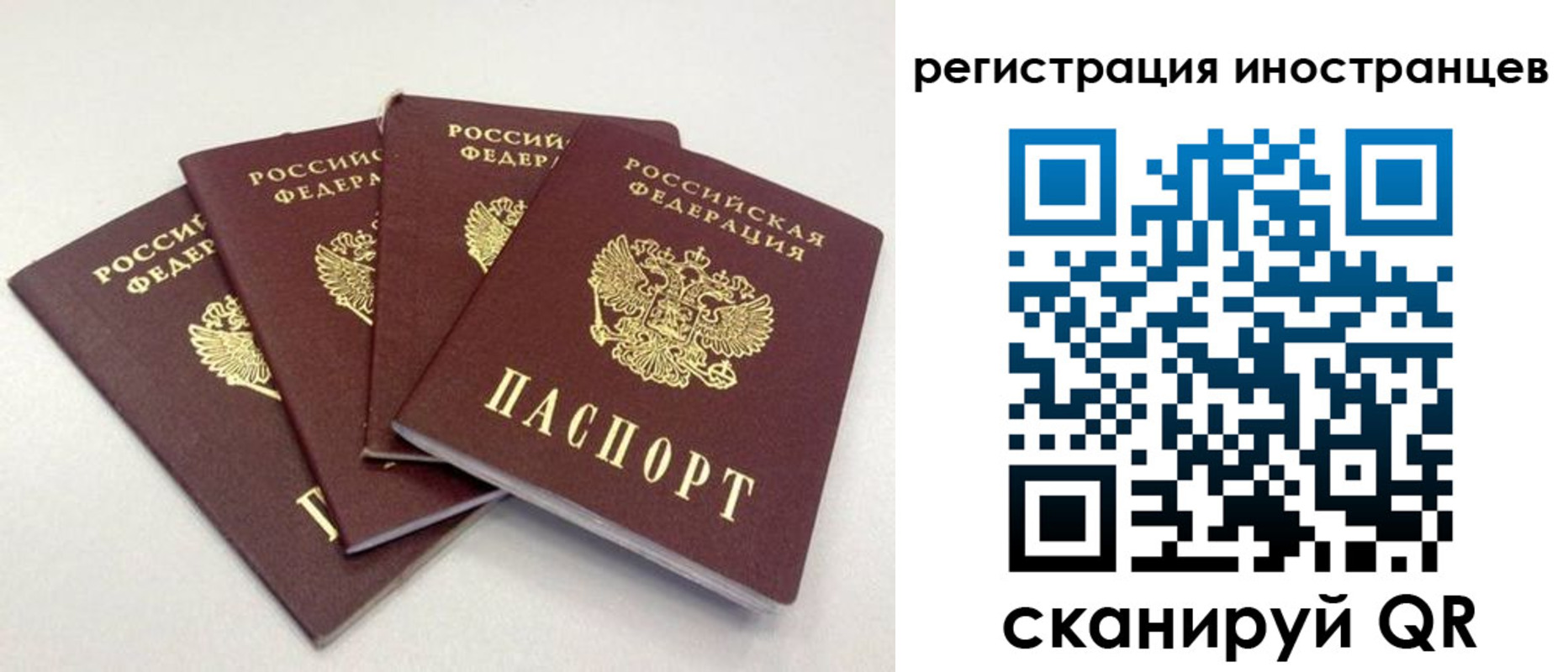 временная регистрация для школы в Лесозаводске